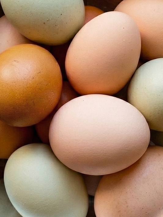 Free Range Chicken Eggs